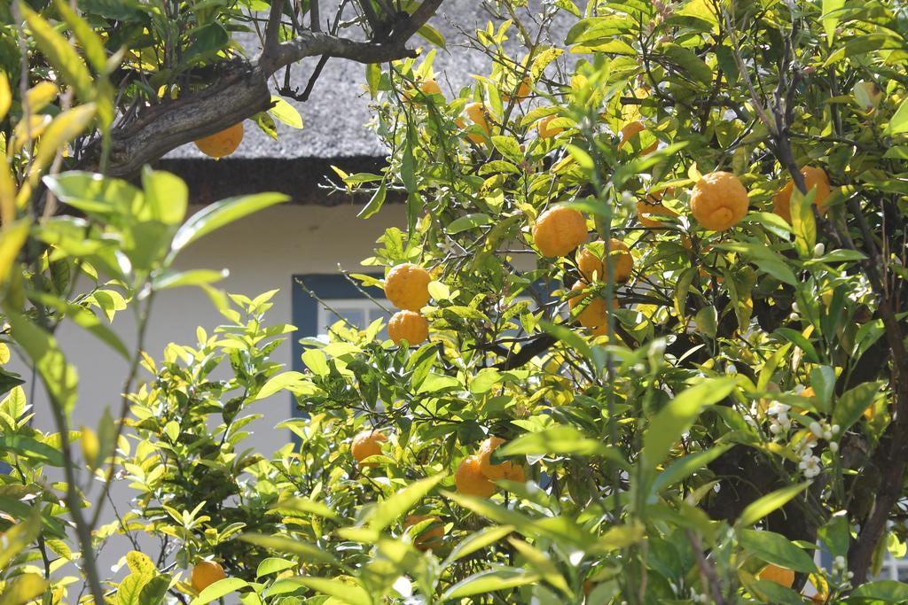 Stellendal Guest House Somerset West Exteriör bild