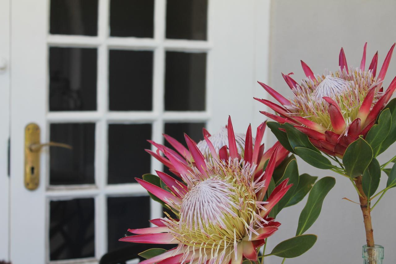 Stellendal Guest House Somerset West Rum bild
