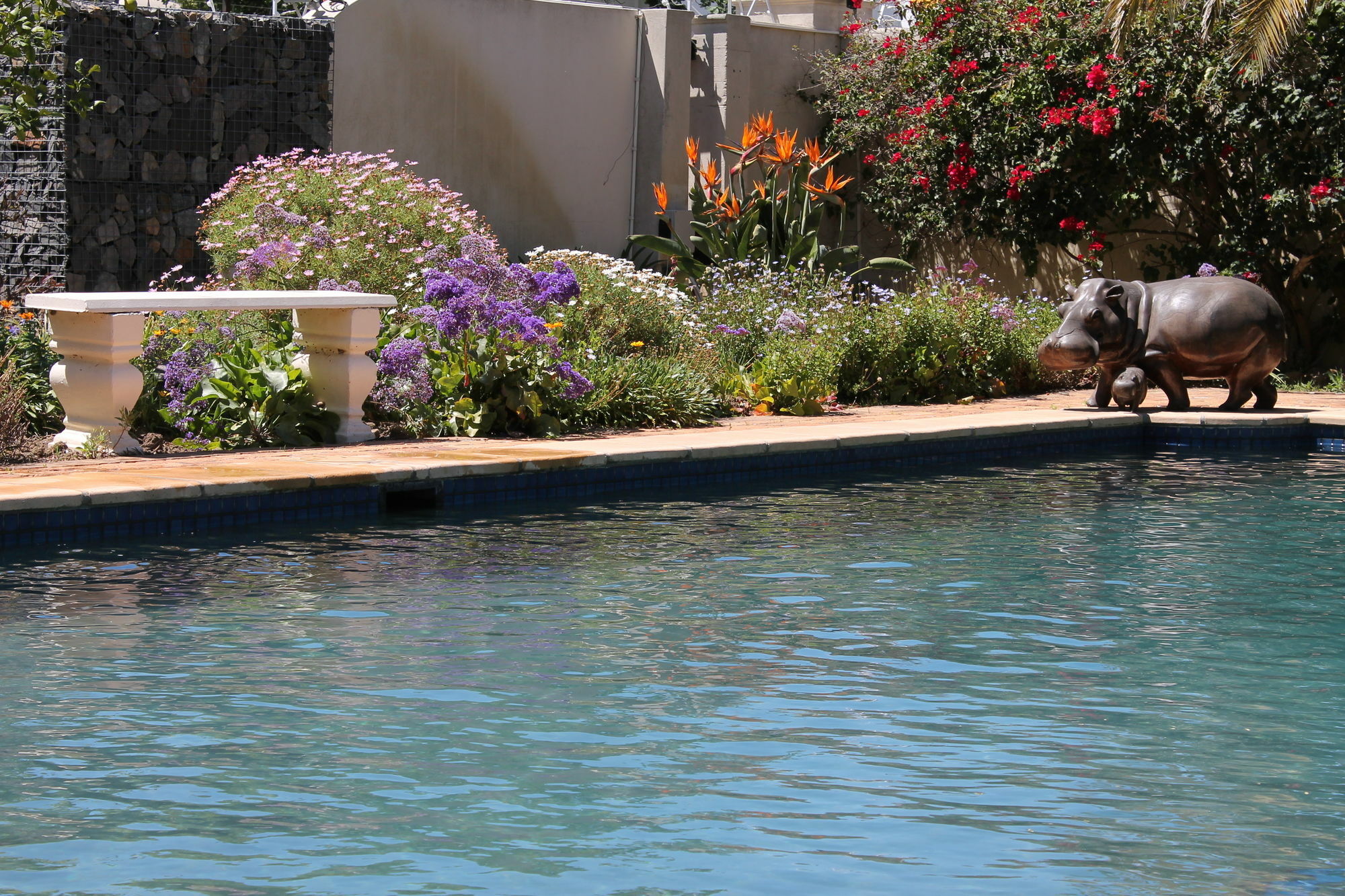 Stellendal Guest House Somerset West Exteriör bild